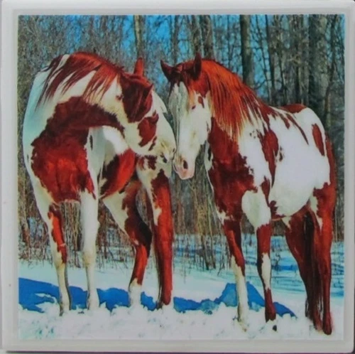 Set of 1 - Ceramic Tile Coaster - Horses (Buy 3 Sets - Get 1 Set Free)  4 B