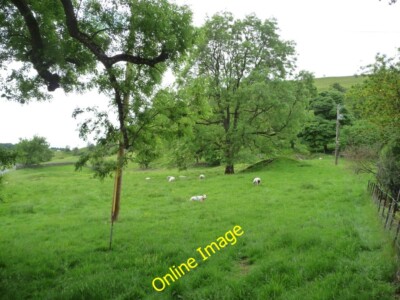 Photo 6x4 Wharfedale sheep Kilnsey Grazing west of the B6160, near Chapel c2013