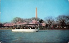 Washington DC Swan Boat Cherry Blossoms Monument Tidal Basin postcard GP4