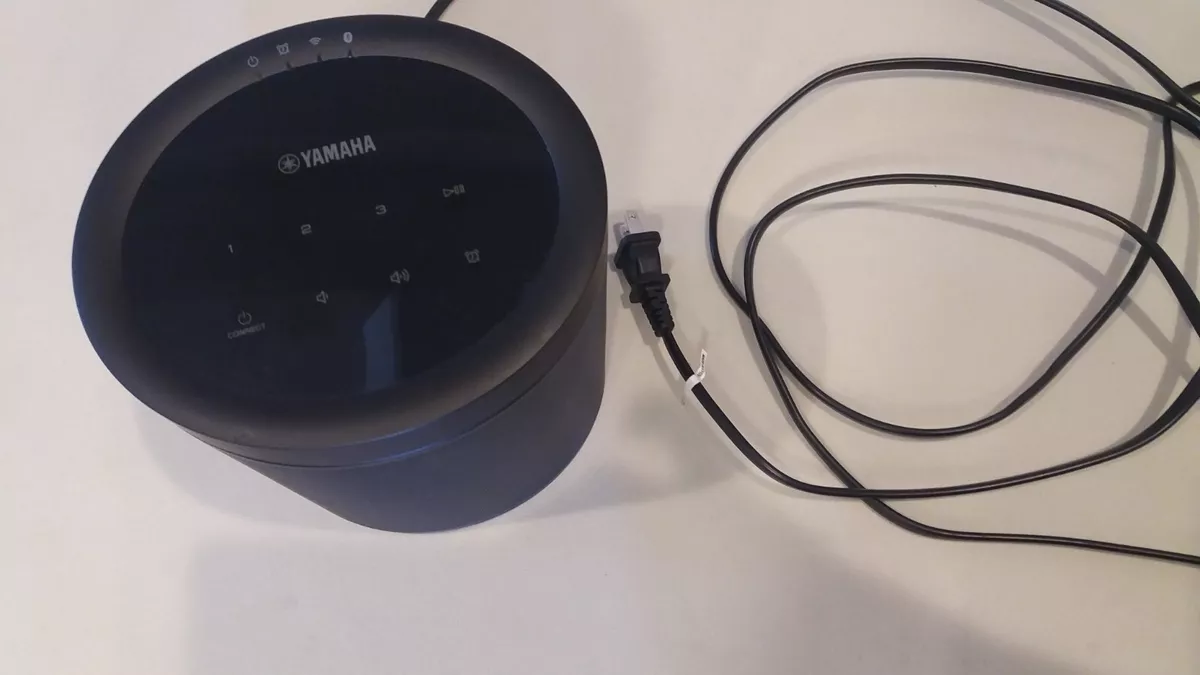 Musiccast hotsell portable speaker