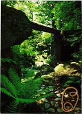 CPM Landscape JAPAN (1184843)