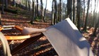 Bild 4 von 16