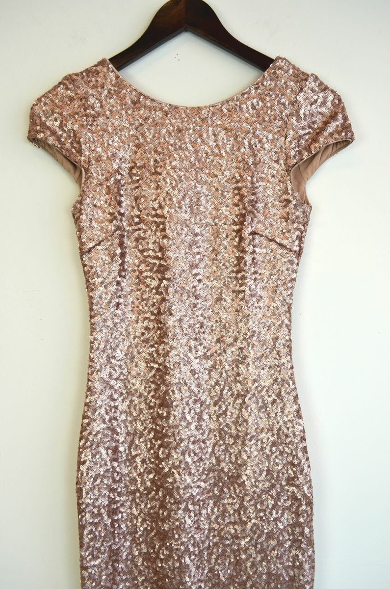 Dress The Population Women's Teresa Sequin Cap Sleeve Scoop Back Column Gown