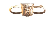 vintage heraldic crest standing lion pin brooch barrel clasp works gold tone