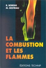 Die Verbrennung und die Flammen, Michel Destriau und Roland Borghi