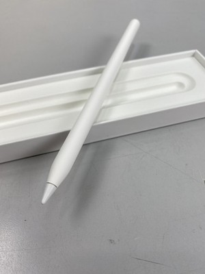 Apple Pencil Pro - Orange Box - White Pencil | eBay