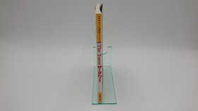 The Tower - Winning Strategy Special Guide Japanese Version - USED Book - Saturn