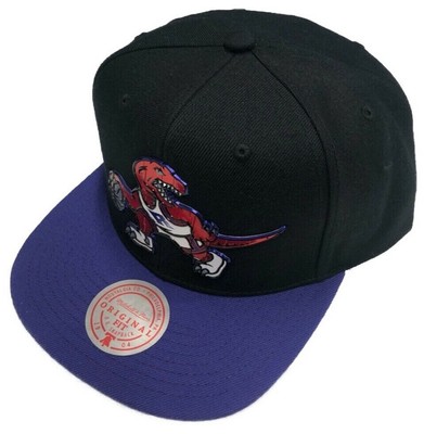 retro raptors hat