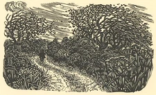 Miriam MacGregor (b.1935) - 20th Century Woodcut, A Wandering Boy