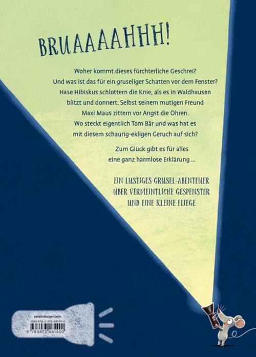 Thumbnail - Andreas König | Hase Hibiskus Und Das Grausige Gruseln | Buch |