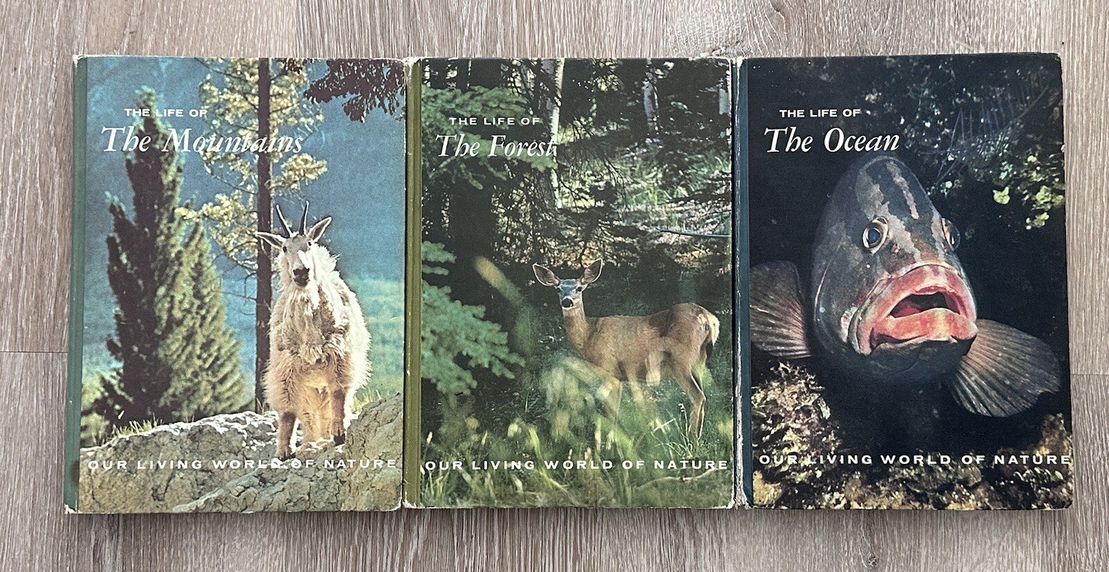 The Life of Our Living World|Set of 3 Books|Ocean/Forest/Mountain|Vintage