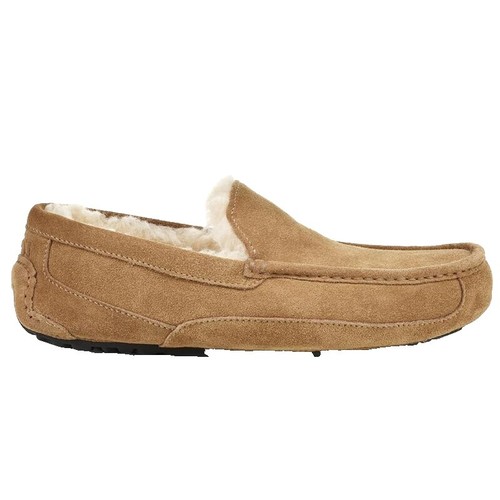 UGG Australia Men display picture 1