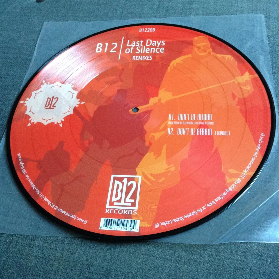 B12 - Last Days of Silence 12" (Electronic/Ambient/Techno/IDM) 2008 PICTURE DISC - Image 2 of 2