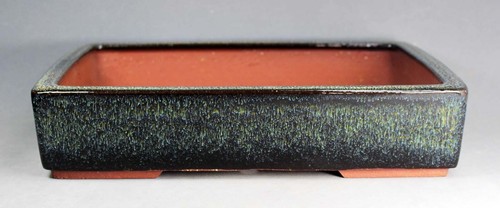 Tokoname Rect. Bonsai Pot by Yozan, #A9720 : 318*240*H68mm - Picture 2 of 8