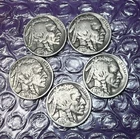 BUFFALO INDIAN Head Nickel FULL DATES  All Different  3 Mints  3 Years  Lot of 5
