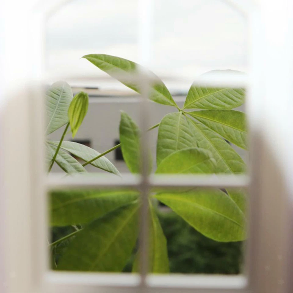 1:12 Mobili in miniatura per casa delle bambole in legno a 6 pannelli per - Immagine 3 di 4