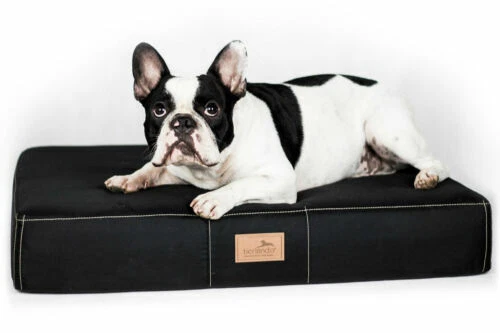 Lettini materassi in memory foam per cani