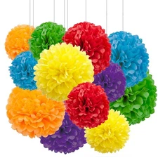 12pcs Rainbow Paper Pom Poms Decorations for Party Ceiling Wall Hanging Tissu...