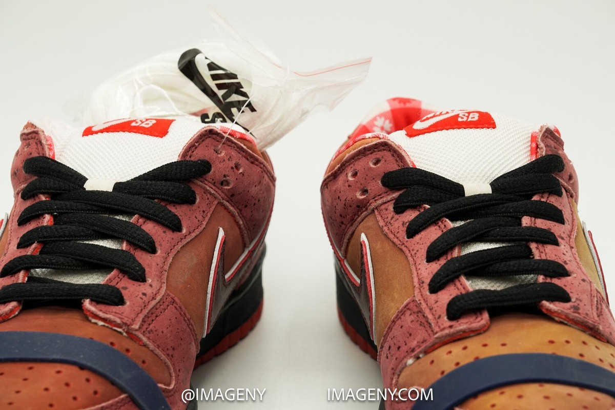 NIKE DUNK LOW SB NEW SZ 8.5 CONCEPTS RED LOBSTER SPORT RED PINK
