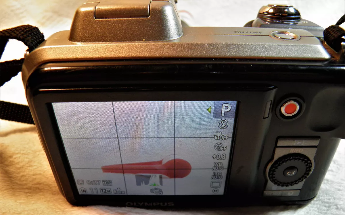 Olympus SP Series SP-600UZ 12.0 MP Digital Camera - Silver w/ 4 pocket case