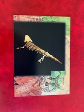 AUSTRALIA 1997 MAXI CARD FDI DINOSAURS PARACYCLOTOSAURUS DAVIDI SALAMANDER