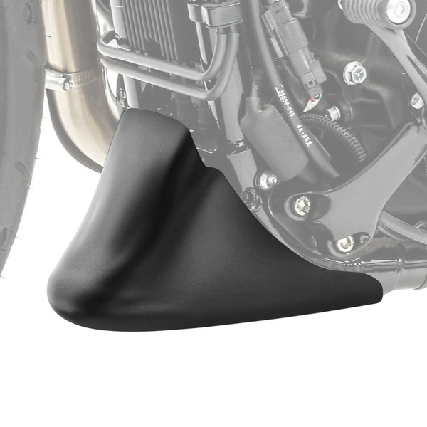 Bugspoiler FüR Harley Davidson Sportster 883 Low 04-10-image