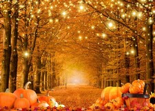 Fall Backdrop Happy Pumpkin Thanksgiving Party Photo Background 12743 7x5 Ft