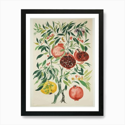 Granatapfel Obst Zeichnung 1 Kunst Pri gerahmtes Wandbild Poster Leinwanddruck Bild