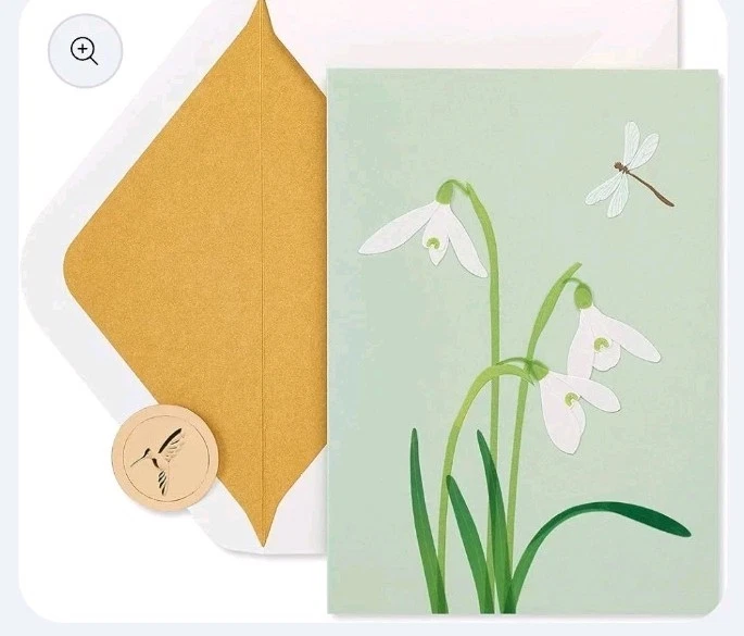 Papyrus Sympathy Card w/Dragonfly & Flowers - Image 2 of 4