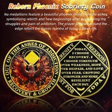 Delicate Phoenix AA NA Medallions Reborn from Fire Sobriety Coin Chip Gifts