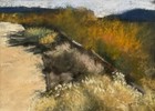 Nature Walk Anita Stoll Pastel California Art Desert Landscape Painting Realism — photo 2
