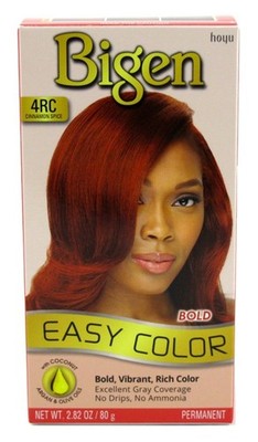 (2 PACK) Bigen Easy Color #4Rc Cinnamon Spice Kit