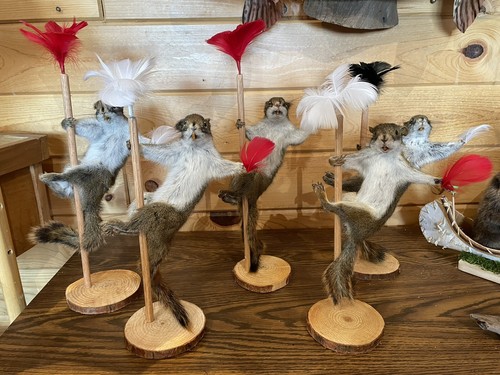 Beautiful Dancing Red Squirrel Small Animal Taxidermy Mount Art Wildlife - Picture 3 of 3
