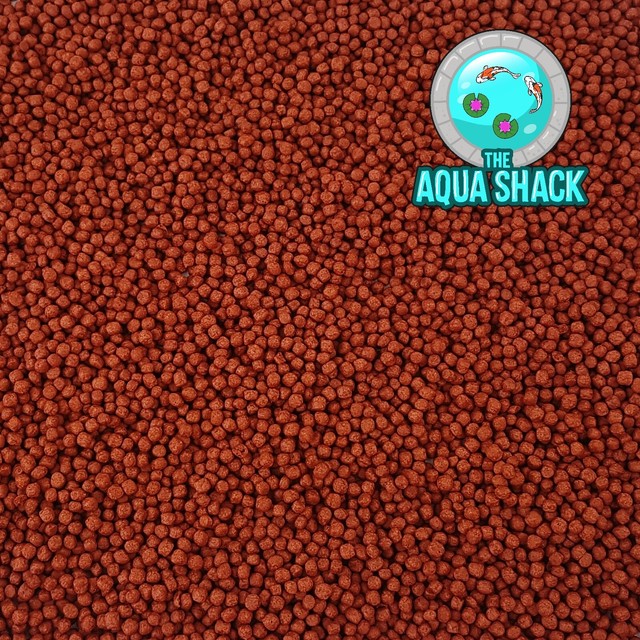 parrot fish food buy online