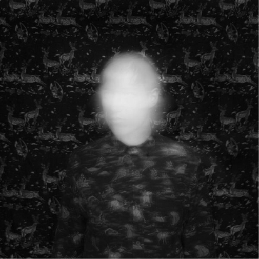 Mezzanine Swimmers Black Cat in Heat (Vinyl LP) 12" Album