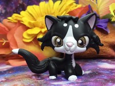 Short Hair Cat WARRIOR CAT Compatible with Pet Shop Ooak Custom Hand Painted