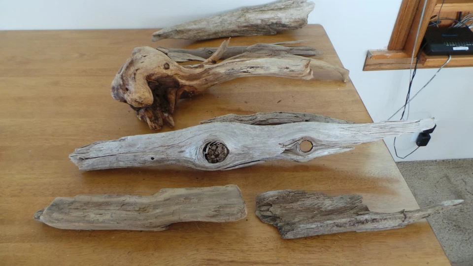 Lote de madera a la deriva sin tratar decoración de acuario terrario reptiles artesanía Foto 2 de 4