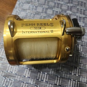 Penn International II 50tw | eBay
