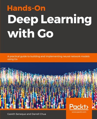 Hands-On Deep Learning with Go Gareth Seneque (u. a.) Taschenbuch Englisch 2019