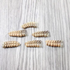 6 Rattlesnake Rattles  #6550    Taxidermy Diamondback Sidewinder