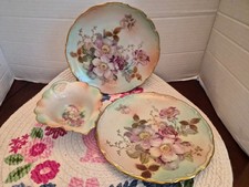 Piatto di caramelle vintage Bavarese Wild Rose piatti da insalata di Schumann, Germania