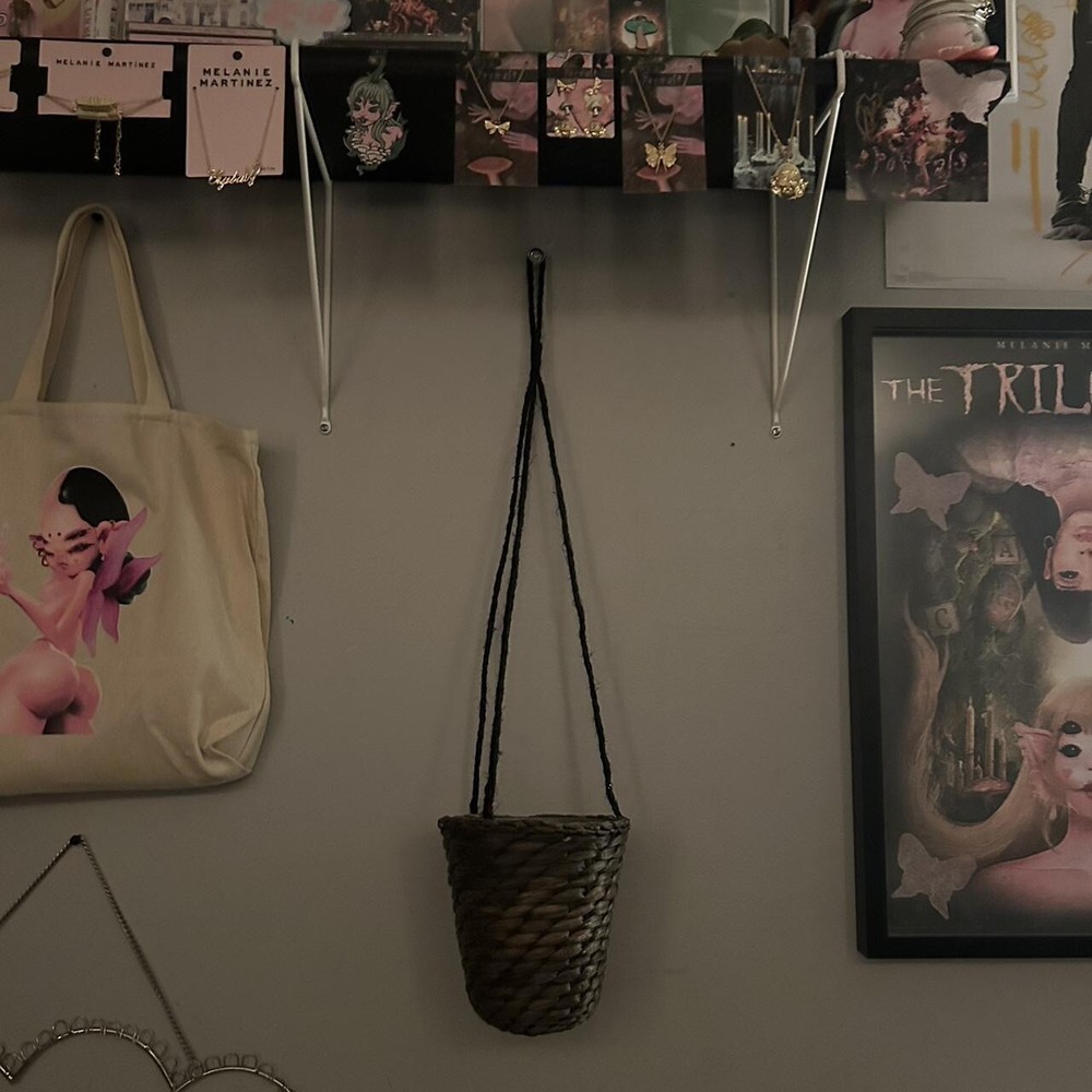 2 hanging baskets for plants