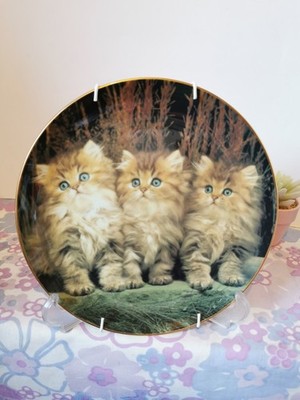 Purrfect Portraits Katzenteller drei kleine Kätzchen Danbury neuwertig mit Wandhänger.