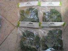 New  4 X 24 cu in Floral Garden Reindeer Moss