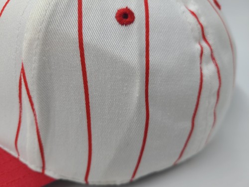 Pittsburgh Crawfords Pinstripe Highmark Adjustable Hat Cap Negro League Baseball - Picture 6 of 13
