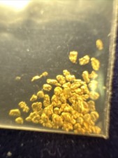 .20 Grams Bearing Sea Gold Nugs 6057.40 per troy oz