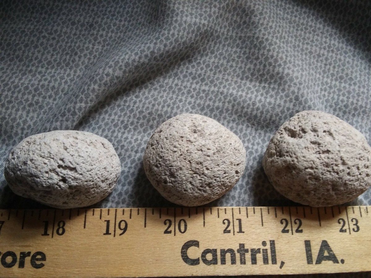 Pumice Stone Small, Pumice