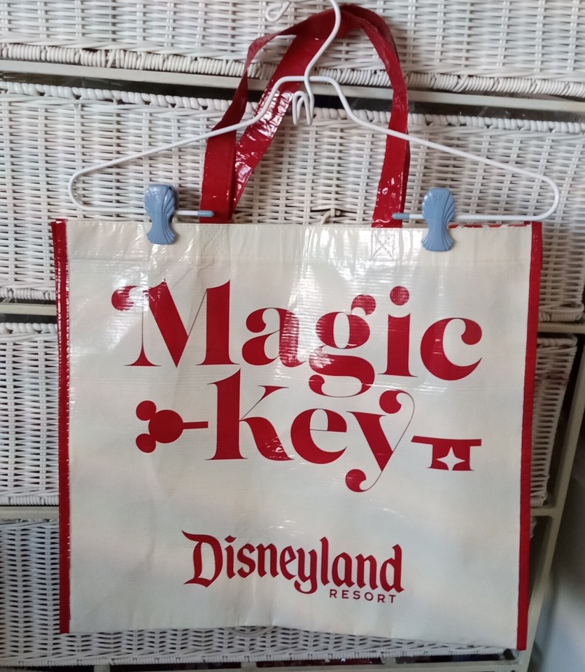 Disneyland Magic Key Reusable Vinyl Tote Bag Christmas Holiday | eBay