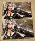 BLACK CAT 1 GREG HORN HORIZONTAL VIRGIN VARIANT SET 2-PK SPIDER-MAN 1000 PT Run!