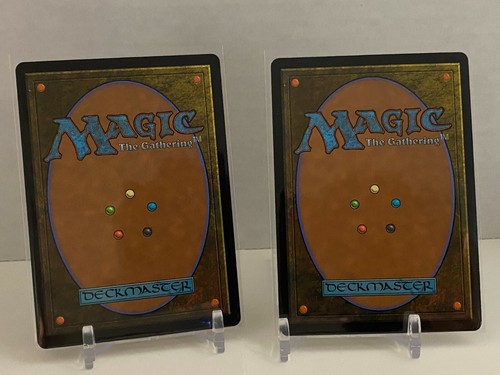 MTG - Adventures in the Forgotten Realms Showcase-Arborea Pegasus Foil + Regular - Picture 2 of 2